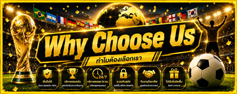 Why Choose Us